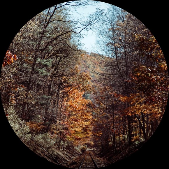 Meet your Posher, Quinn - Picture 1 of 1